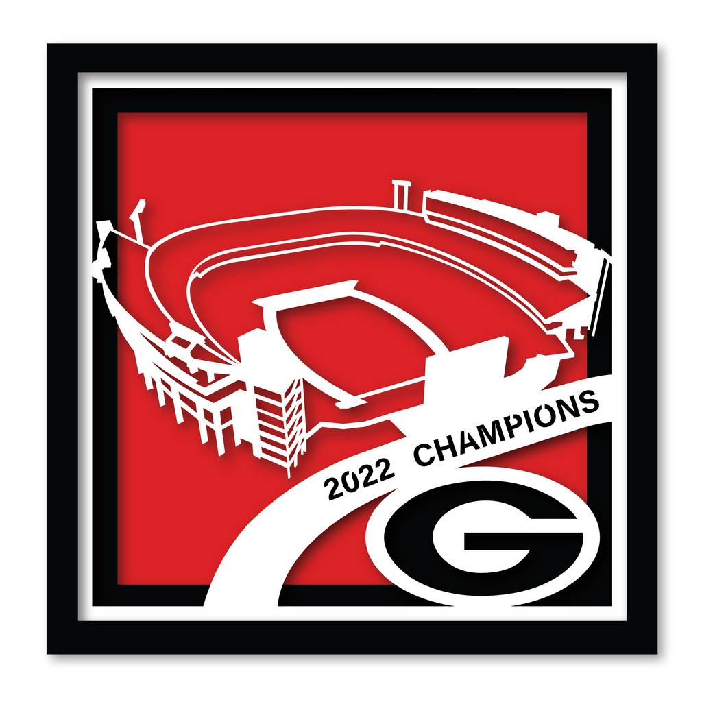 Georgia Stadium 2